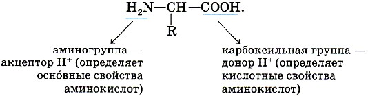 Кислоты и основания (Теория на русском)